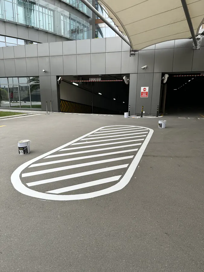 Araç Giriş Çıkış Çizgileri