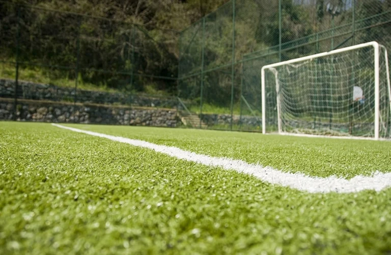 Futbol Sahası Çizgileri