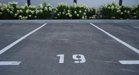 Park Alanı Numaralandırma Çizgileri