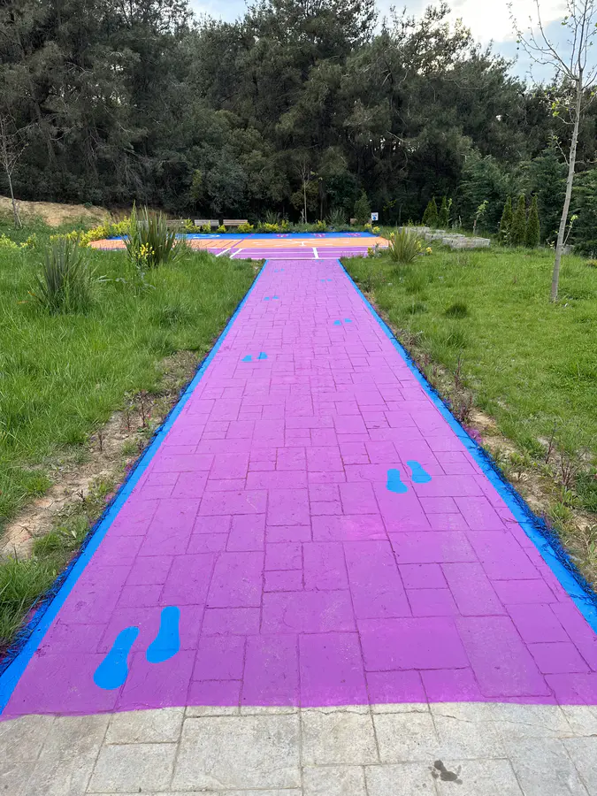 Renkli Yaya Yolu Çizgileri