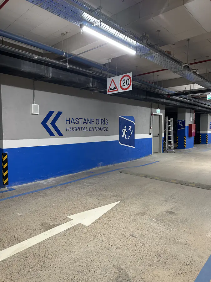 Araç Giriş Çıkış Çizgileri